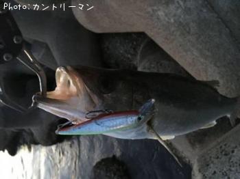 �����Х�