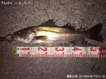 �����Х�