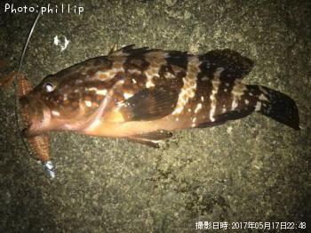 �����ϥ�