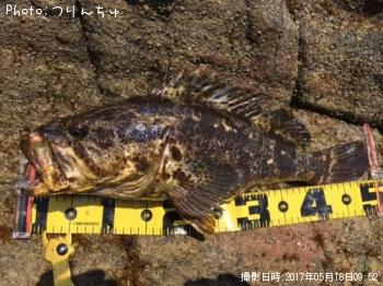 �����Υ���Х�