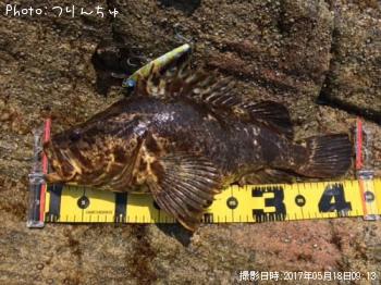 �����Υ���Х�