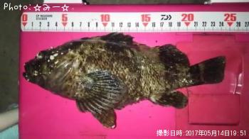 ��饽��