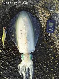 �ߥ�����