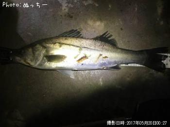 �����Х�