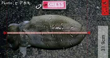 ��󥴥�����