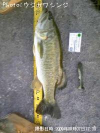 �֥�å��Х�