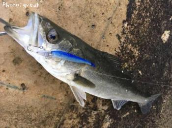 �����Х�