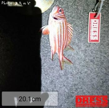 ��������ڥ���ᥨ�ӥ���