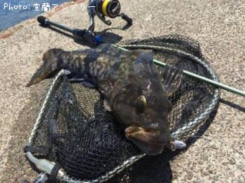 �����ʥ�