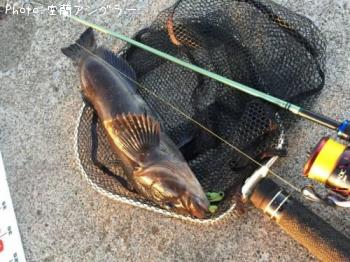 �����ʥ�