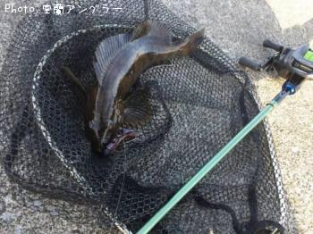 �����ʥ�