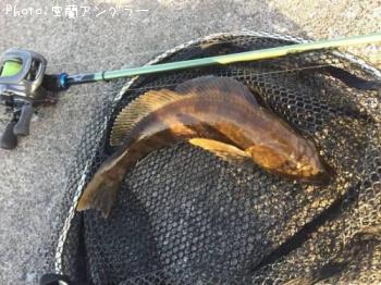 �����ʥ�