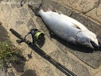 ������ޥ�