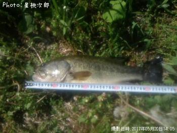 �֥�å��Х�