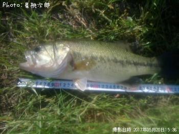 �֥�å��Х�