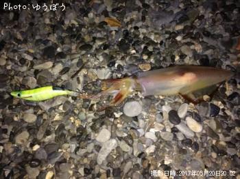 ��ꥤ���ʡ���