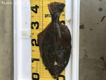 �ޥ����쥤