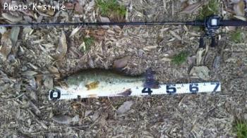 �֥�å��Х�