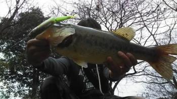 �֥�å��Х�