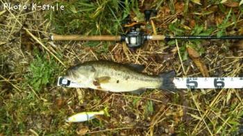 �֥�å��Х�