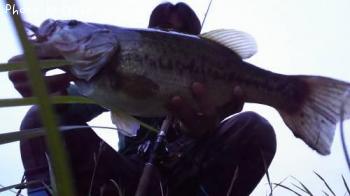 �֥�å��Х�