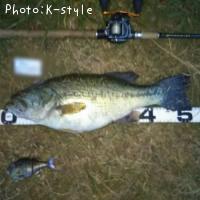 �֥�å��Х�