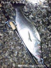 �ҥ饹����