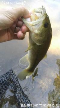 ¥Ö¥é¥Ã¥¯¥Ð¥¹