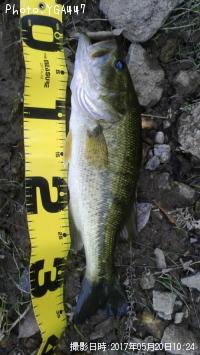 ¥Ö¥é¥Ã¥¯¥Ð¥¹