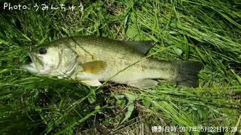 �֥�å��Х�