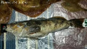 �����ʥ�