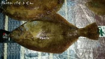 �ޥ����쥤