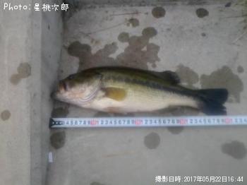 �֥�å��Х�