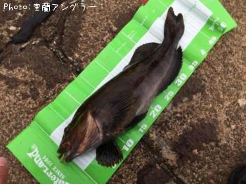 �����ʥ�