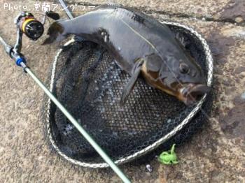 �����ʥ�