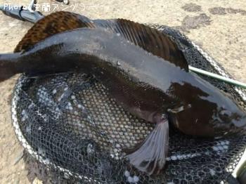 �����ʥ�