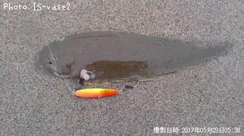 �����ӥ��