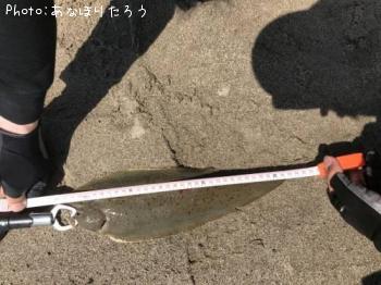 ¥·¥¿¥Ó¥é¥á