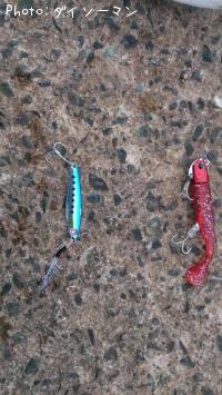 �����ʾС�