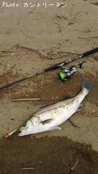 �����Х�