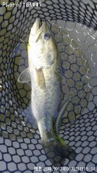 �֥�å��Х�