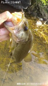 �֥�å��Х�