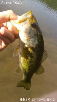 �֥�å��Х�