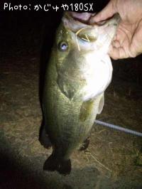 ¥Ö¥é¥Ã¥¯¥Ð¥¹