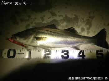 �����Х�