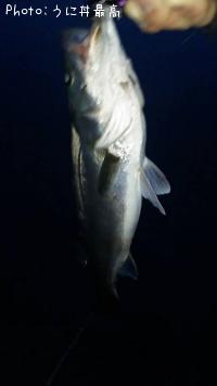 �����Х�