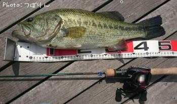 �֥�å��Х�