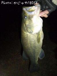 �֥�å��Х�