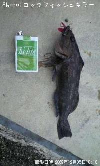 �����ʤ�