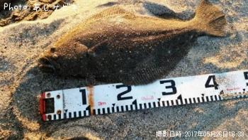 ���ʥ��ȥҥ��